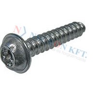 DELTA PT®-Schrauben Linsenkopf mit angepresster Scheibe, mit Innensechsrund Torx plus® / Autosert® 20165