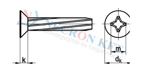 Linsen-Schneidschrauben, Form D 75161
