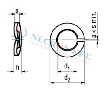 Federringe gewölbt 769